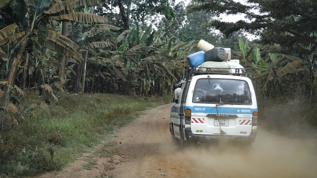Breathtaking Trails in Moshi: Kilimanjaro Adventures - Moshi | Secret World Trip Planner