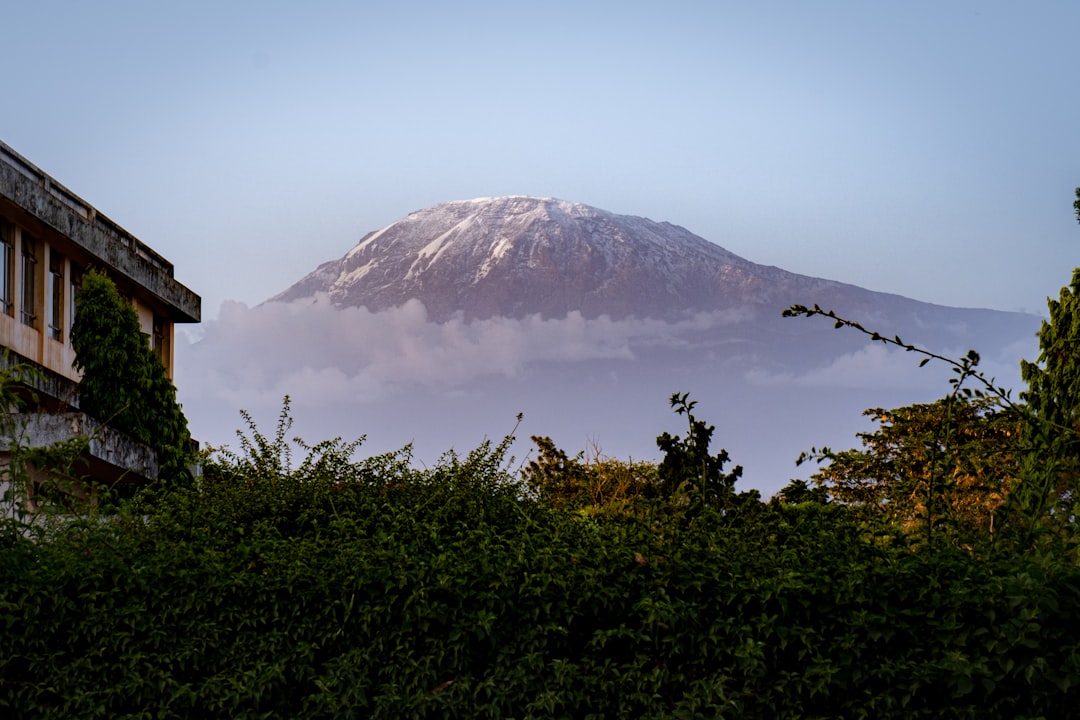 Atemberaubende Wege in Moshi: Abenteuer am Kilimanjaro - Moshi | Secret World Trip Planner