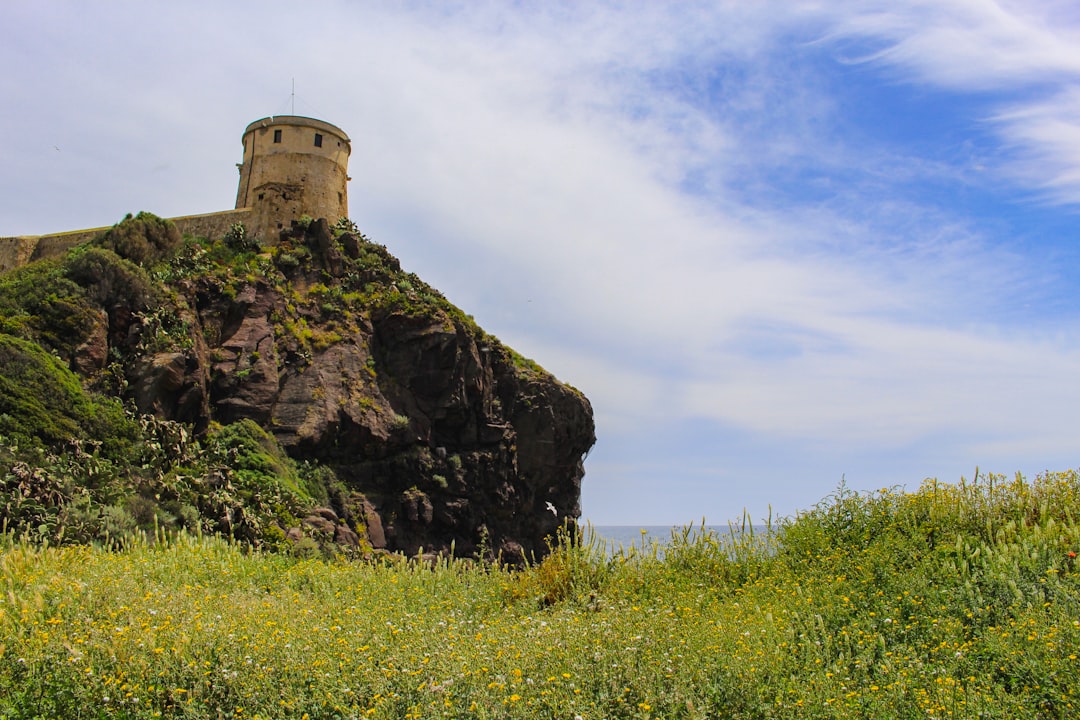 Esplorando il Monumento Volcanico del Monte St. Helens - Castle Rock | Secret World Trip Planner