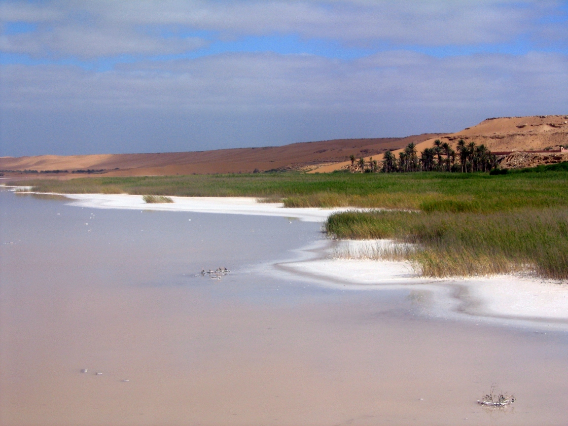 Discover Tan Tan Plage: the Coastal Gem of Morocco - FMX8+CF3 | Secret World Trip Planner