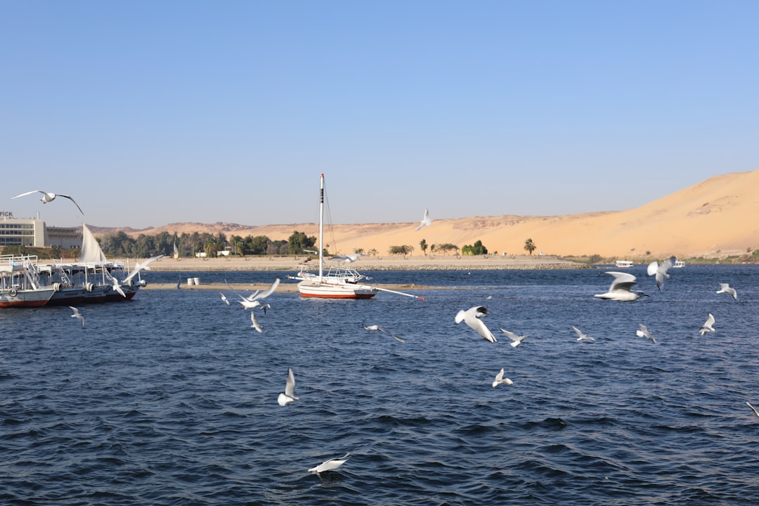 Madinat Coraya : Un Paradis sur la Mer Rouge - Marsa Alam | Secret World Trip Planner