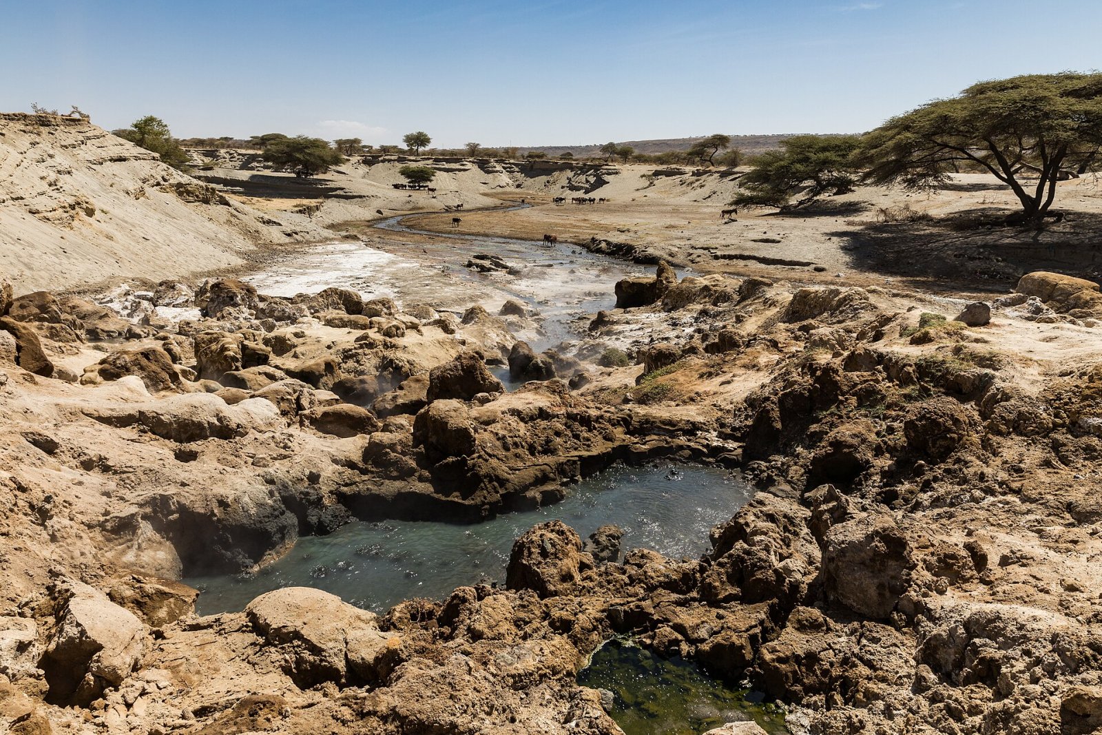 Scopri le Calde Sorgenti Termali dell'Etiopia - FJHM+HR Dole | Secret World Trip Planner