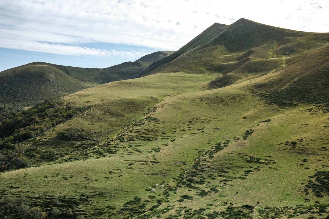 Entdecken Sie den Lac Chambon: Ein Naturparadies in Auvergne - Murol | Secret World Trip Planner