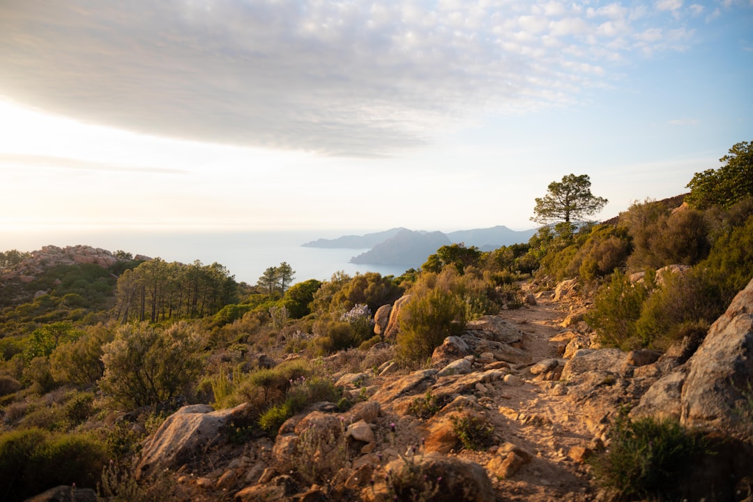 Entdecken Sie die Calanques de Piana: ein Naturjuwel auf Korsika — Piana