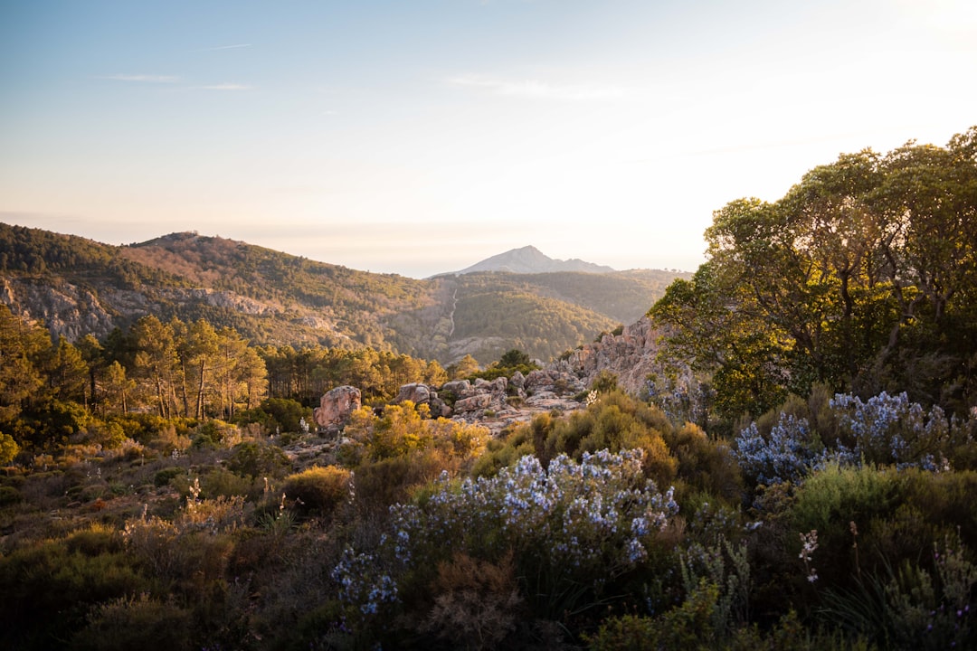 Entdecken Sie die Calanques de Piana: ein Naturjuwel auf Korsika - Piana | Secret World Trip Planner