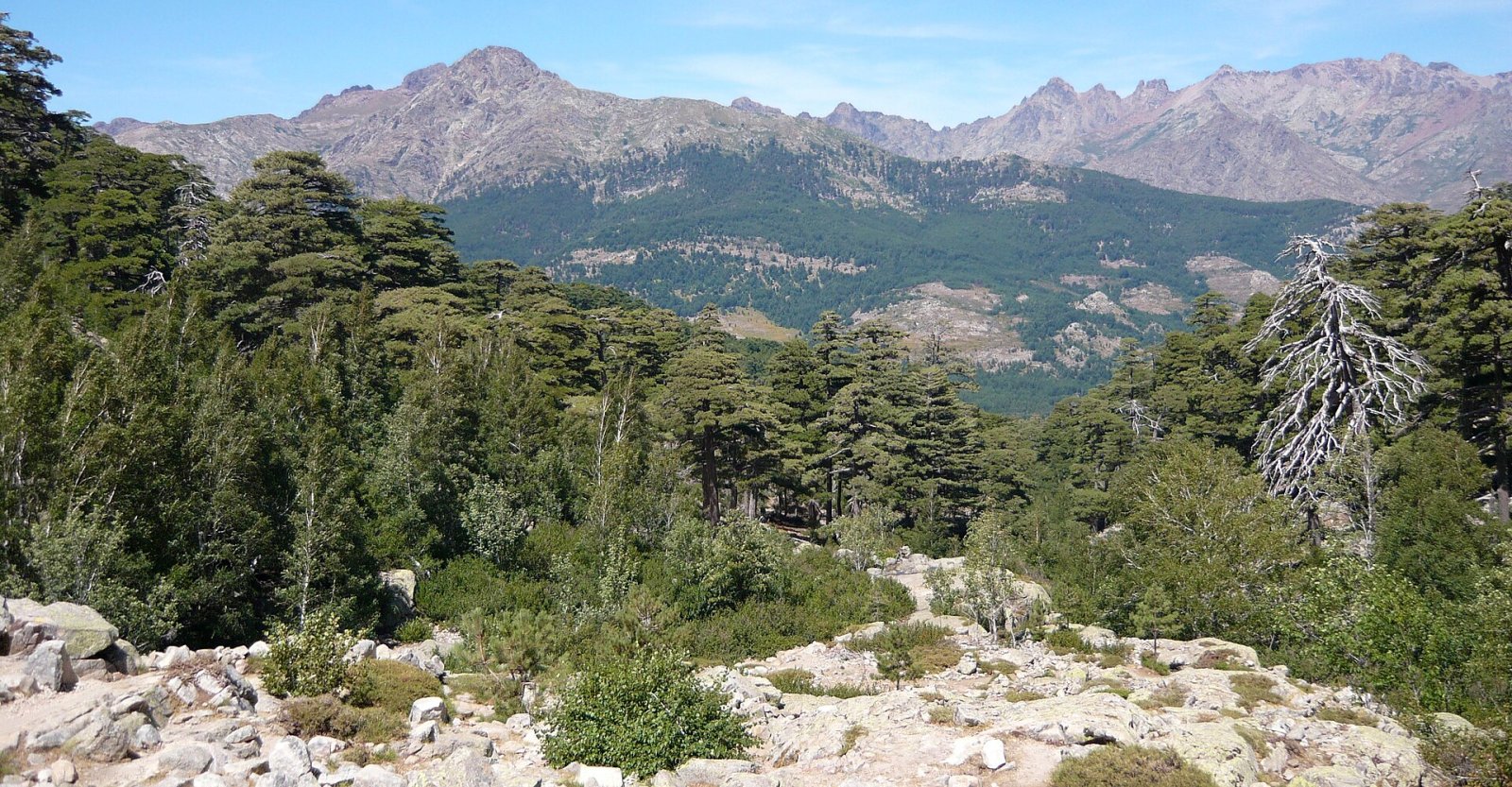 Esplora il Lac de Nino: un gioiello naturale in Corsica - Lozzi | Secret World Trip Planner