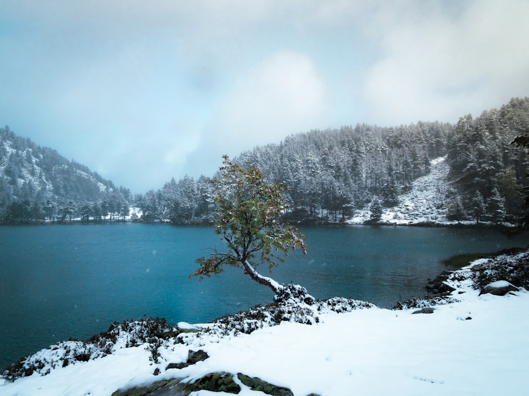 Entdecken Sie den Lac de Nino: ein Naturjuwel in Korsika — Lozzi