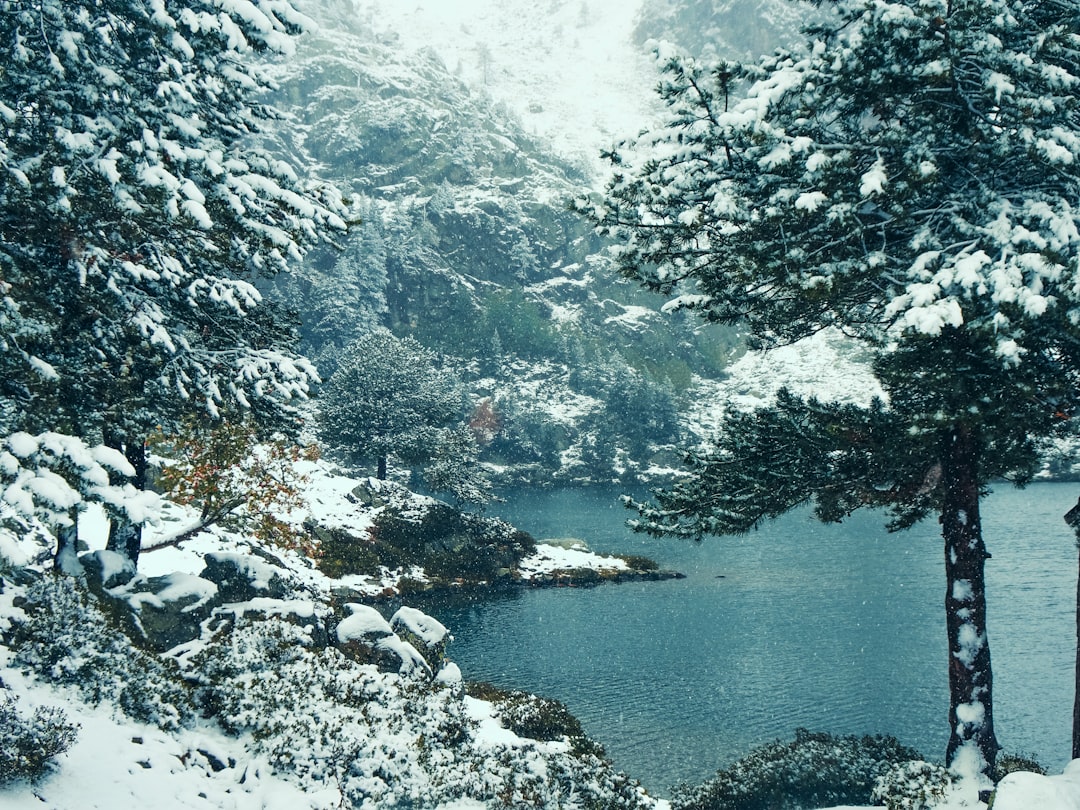 Explorez le Lac de Nino : un joyau naturel en Corse - Lozzi | Secret World Trip Planner