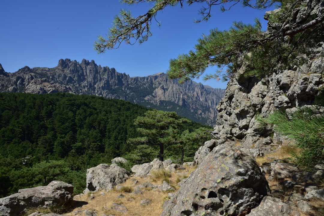 Discover Col de Bavella: A Paradise Corner in Corsica — Zonza