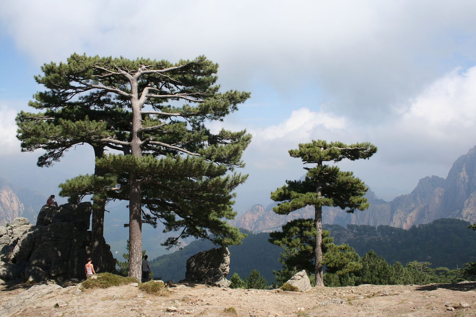 Discover Col de Bavella: A Paradise Corner in Corsica - Zonza | Secret World Trip Planner
