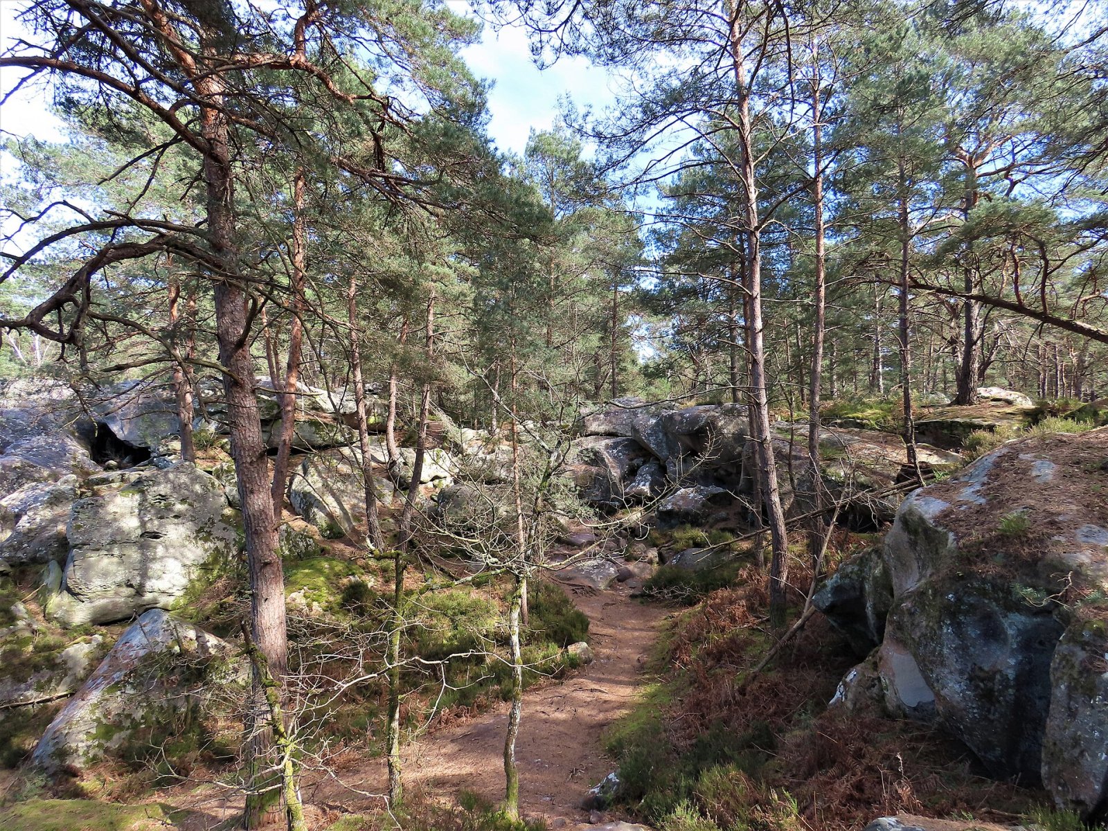 Discover the Gorges de Franchard: a Natural Gem in Fontainebleau - Fontainebleau | Secret World Trip Planner