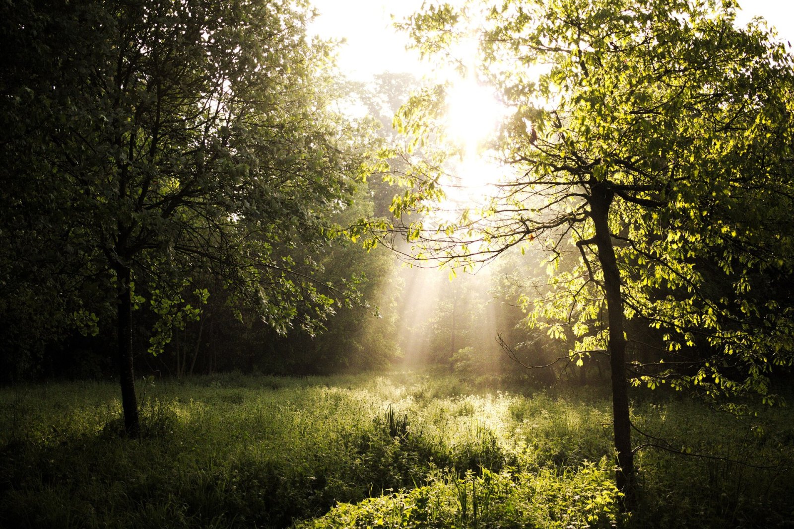 Descubra o Bois de Vincennes: a Natureza em Paris - Paris | Secret World Trip Planner