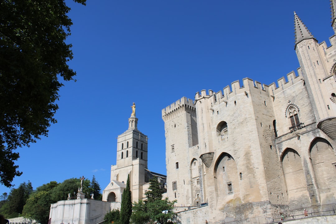 Entdecken Sie den Palais des Papes in Avignon, ein historisches Juwel - Avignon | Secret World Trip Planner