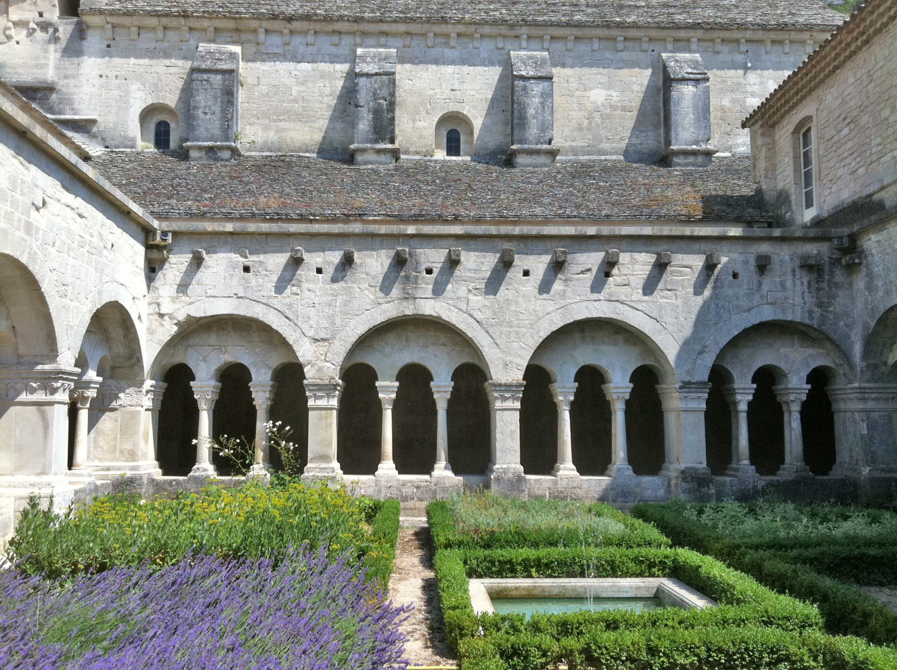 Découvrez l'Abbaye de Sénanque : un bijou de Provence — Gordes