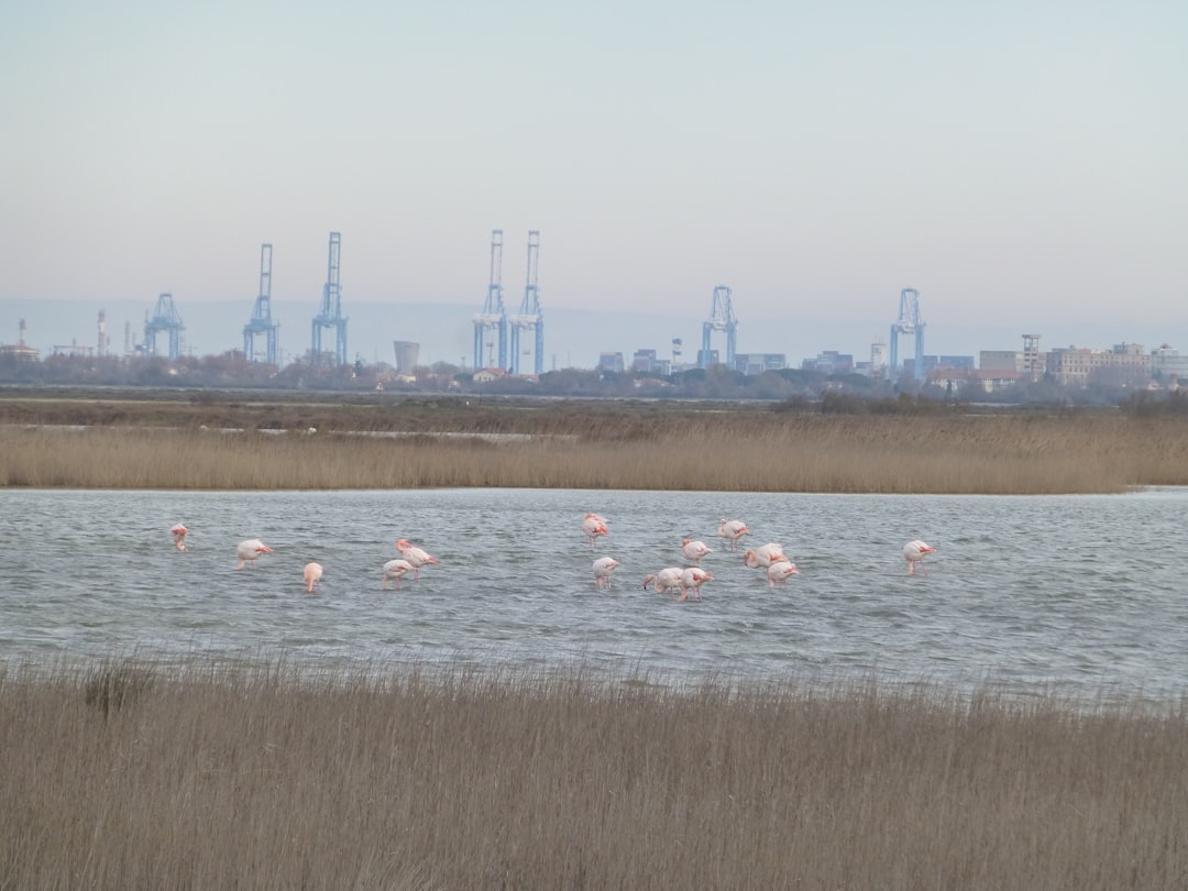 Découvrez la Magie du Parc National de la Camargue - Saintes-Maries-de-la-Mer | Secret World Trip Planner