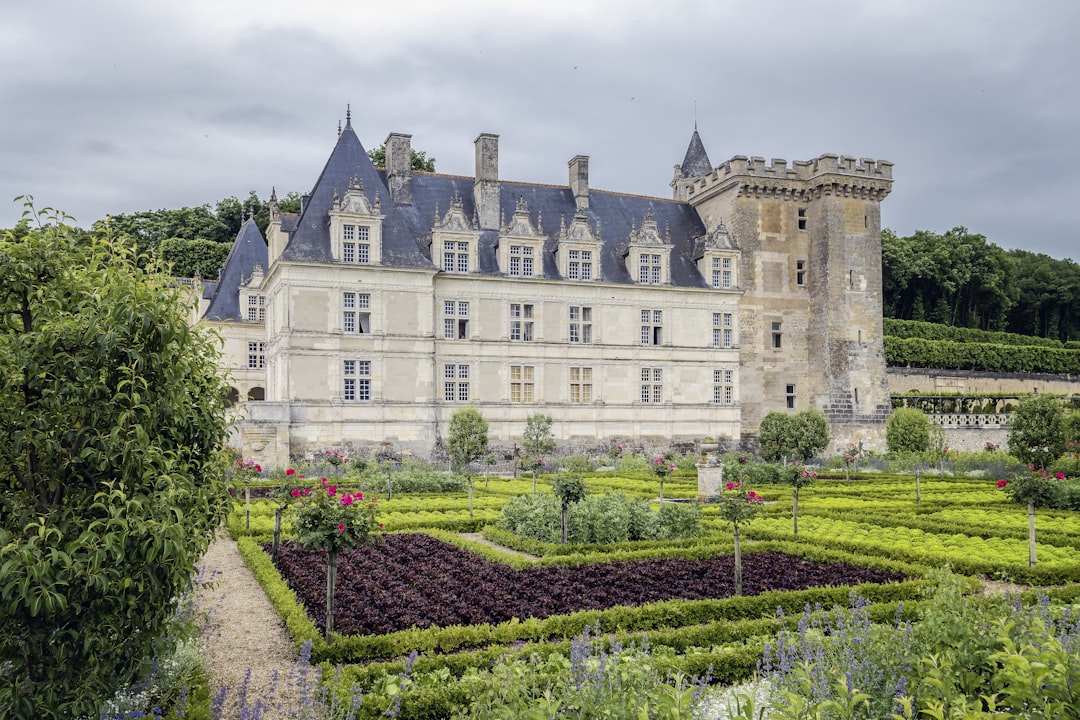 Scopri il Château de Villandry: storia e giardini incantevoli - Villandry | Secret World Trip Planner