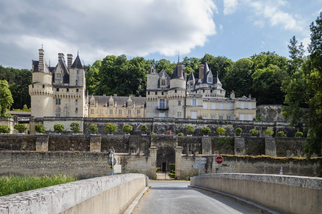 Discover the Charm of Château d'Ussé: History and Beauty - Rigny-Ussé | Secret World Trip Planner