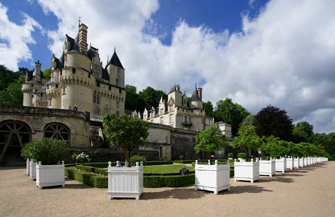 Entdecken Sie den Charme des Château d'Ussé: Geschichte und Schönheit - Rigny-Ussé | Secret World Trip Planner