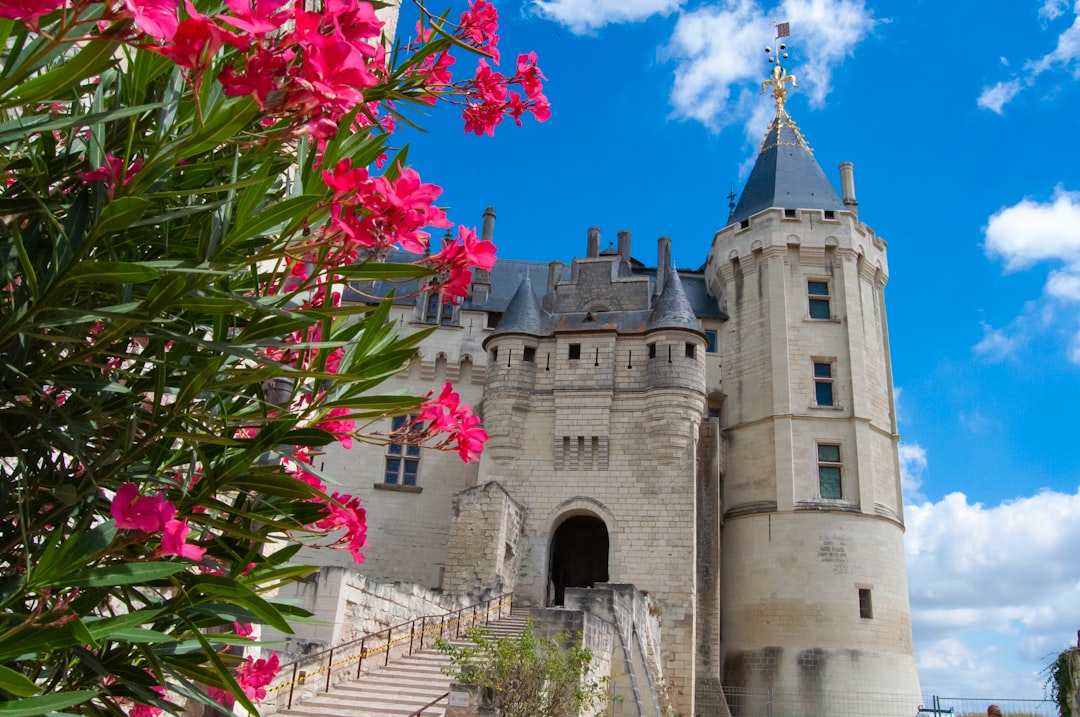 Découvrez le charme du Château de Saumur en France - Chouzé-sur-Loire | Secret World Trip Planner