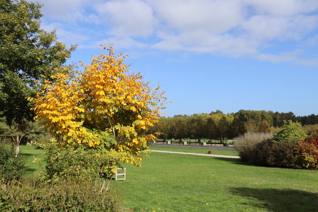 Discover Parc de Chambord: A Natural Gem in France - Chambord | Secret World Trip Planner