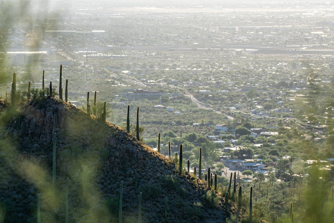 Kitt Peak Observatorium: Der Riese der Sterne - Tucson | Secret World Trip Planner