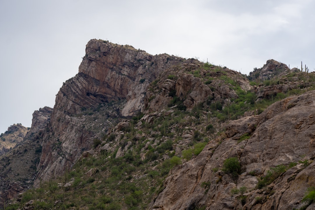 Observatoire de Kitt Peak : le géant des étoiles - Tucson | Secret World Trip Planner