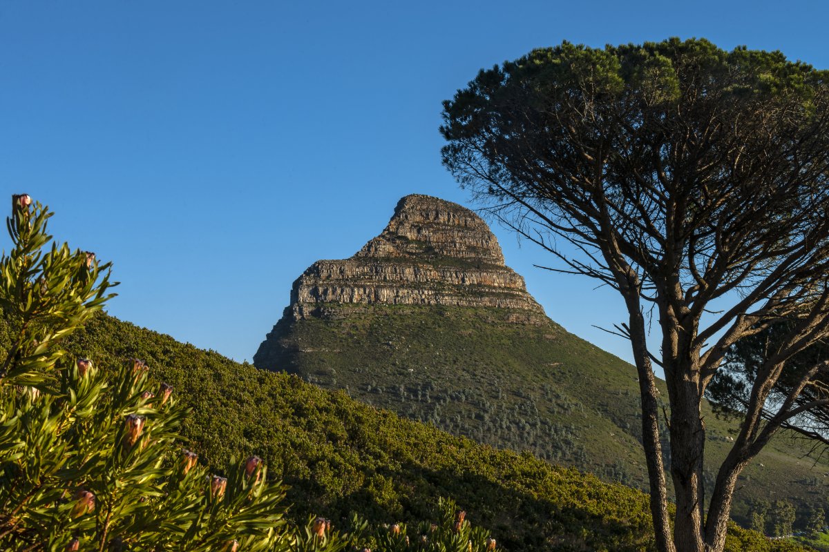 La Montagne de la Table : Un Paradis Naturel à Cape Town - Città del Capo | Secret World Trip Planner