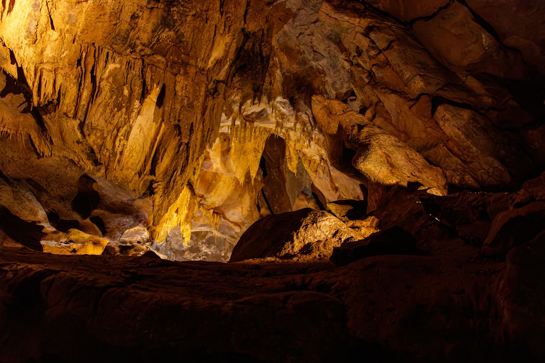 Discover the Lascaux Caves: A Treasure of Prehistory - Montignac-Lascaux | Secret World Trip Planner