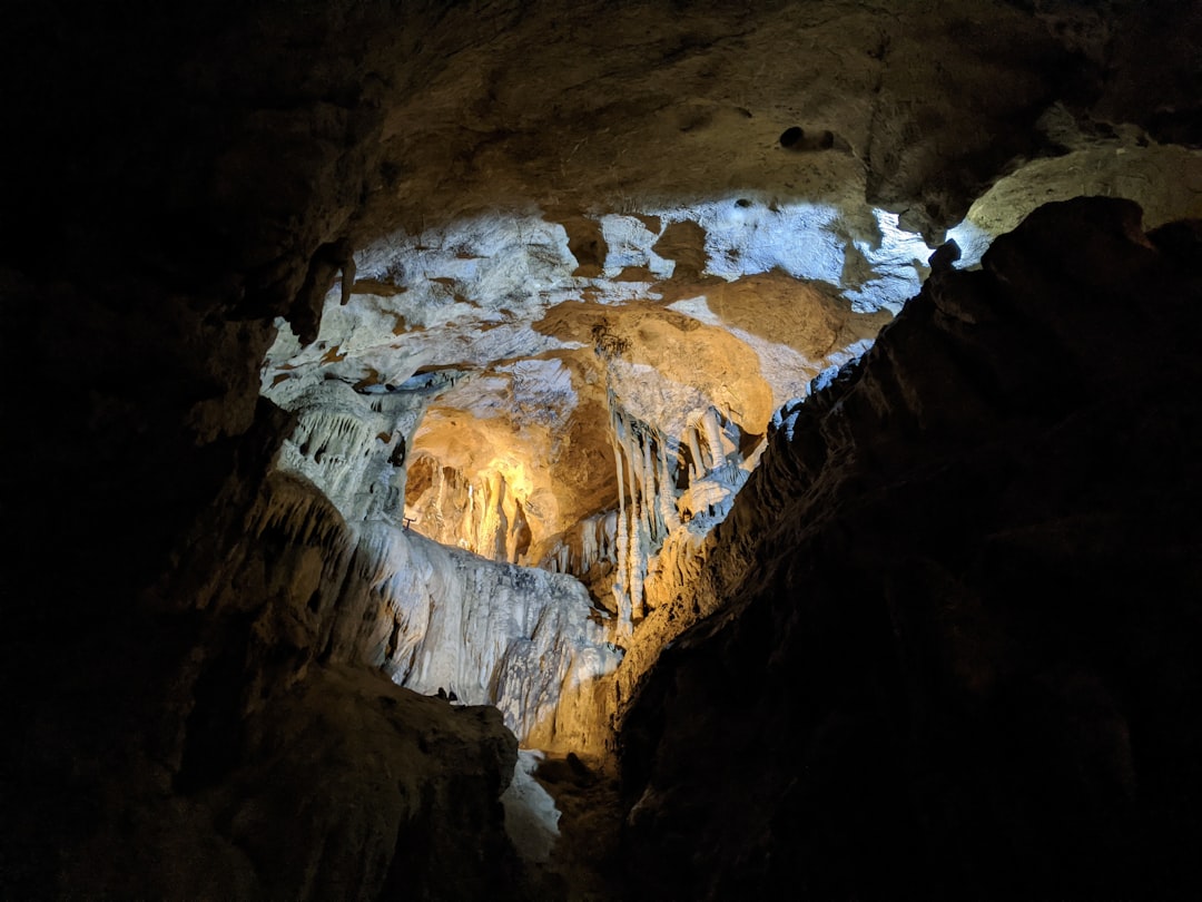 Découvrez les Grottes de Lascaux : un trésor de la préhistoire - Montignac-Lascaux | Secret World Trip Planner