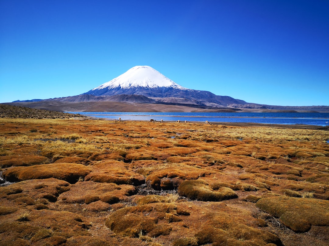 Parinacota : Le Volcan Caché des Andes - Parinacota | Secret World Trip Planner
