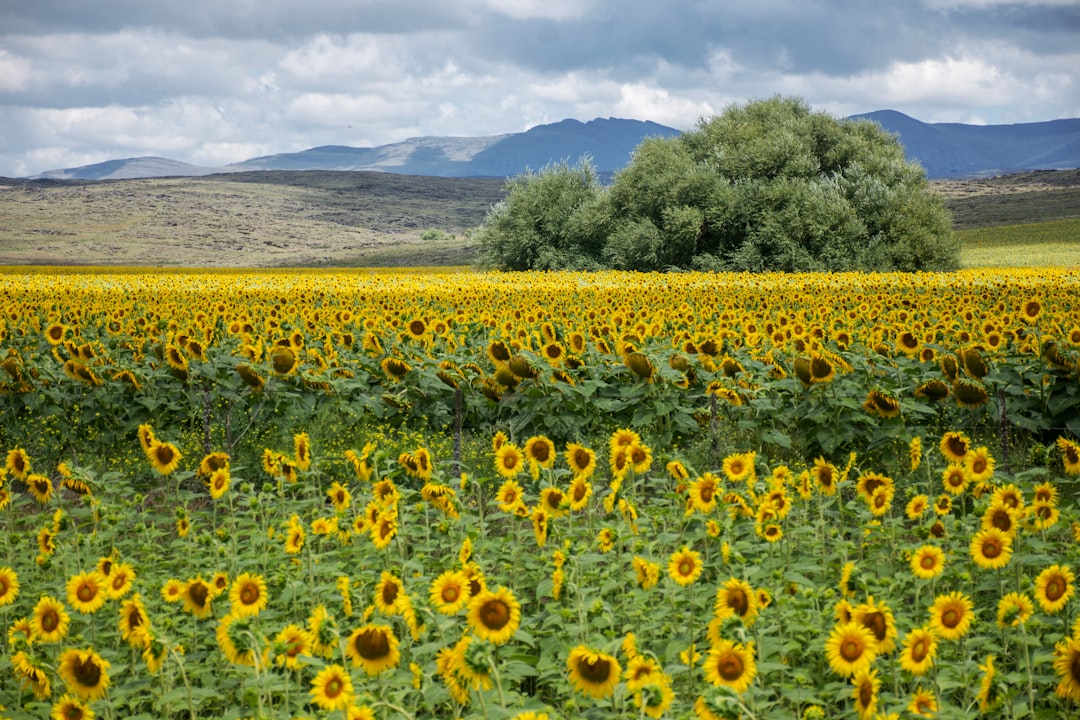 The Hidden Magic of Sierra de La Ventana - Sierra de La Ventana | Secret World Trip Planner