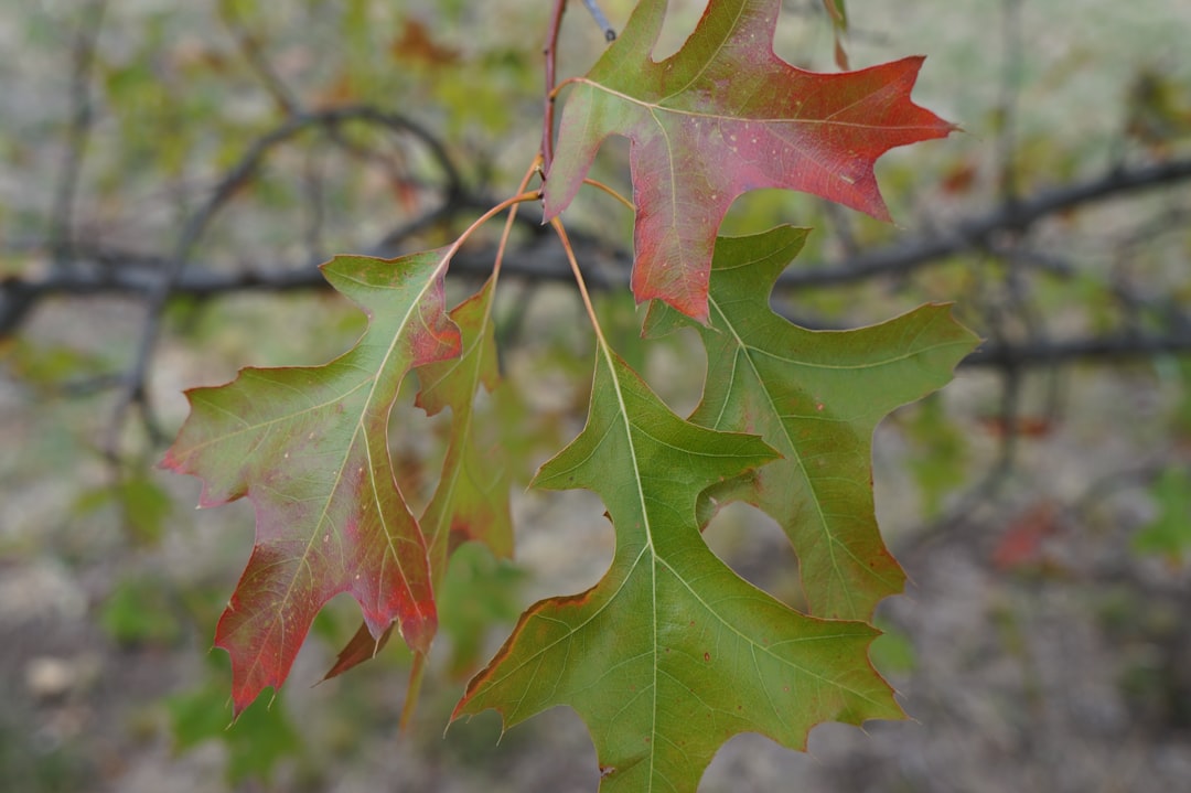 The Hidden Magic of Sierra de La Ventana - Sierra de La Ventana | Secret World Trip Planner