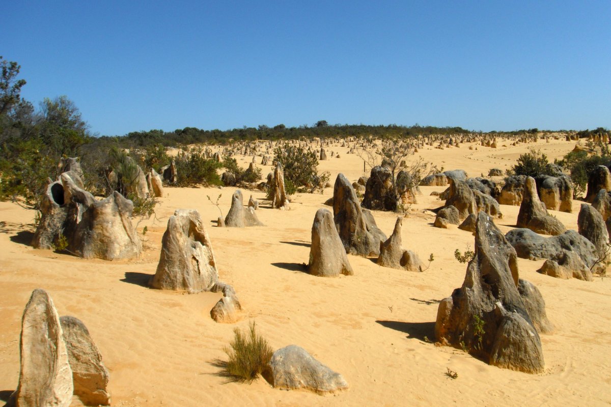 Pinnacles Desert: An Unexplored Paradise in Australia - Nambung Australia Occidentale 6521 | Secret World Trip Planner