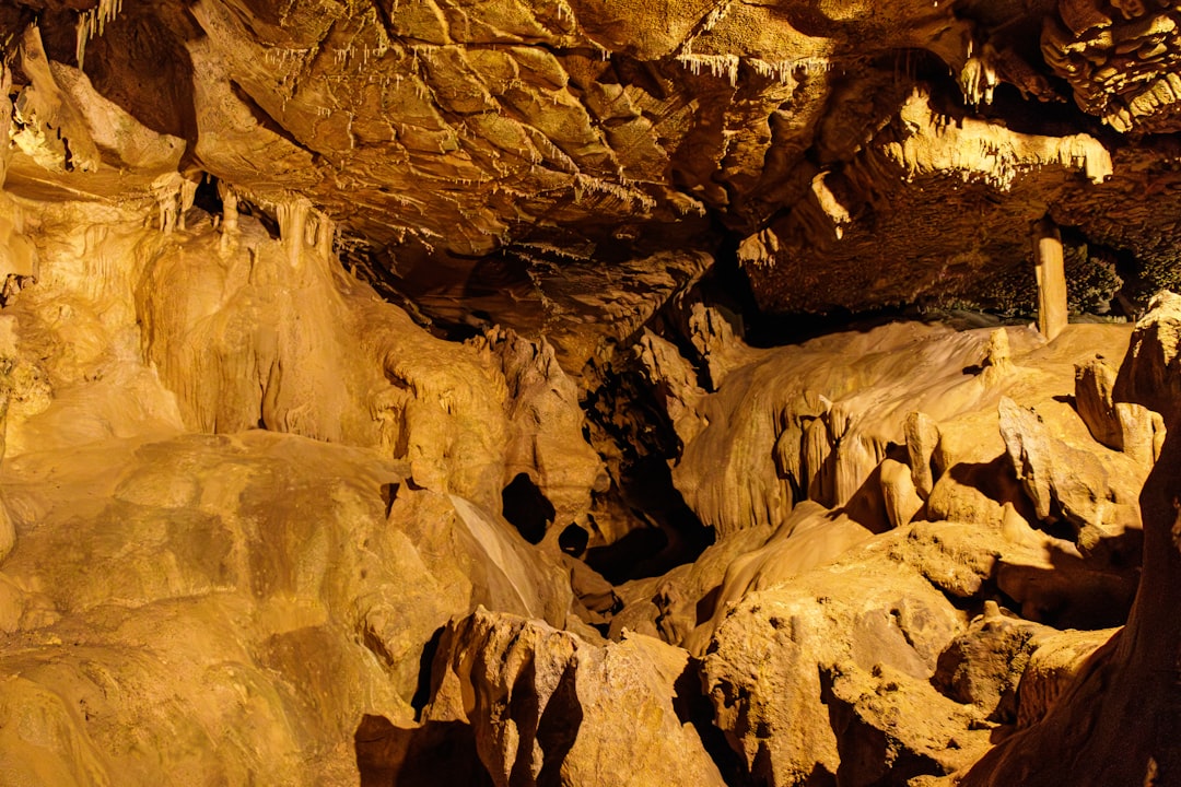 Discover the Grotte du Pech Merle: A Journey into Prehistory - Cabrerets | Secret World Trip Planner