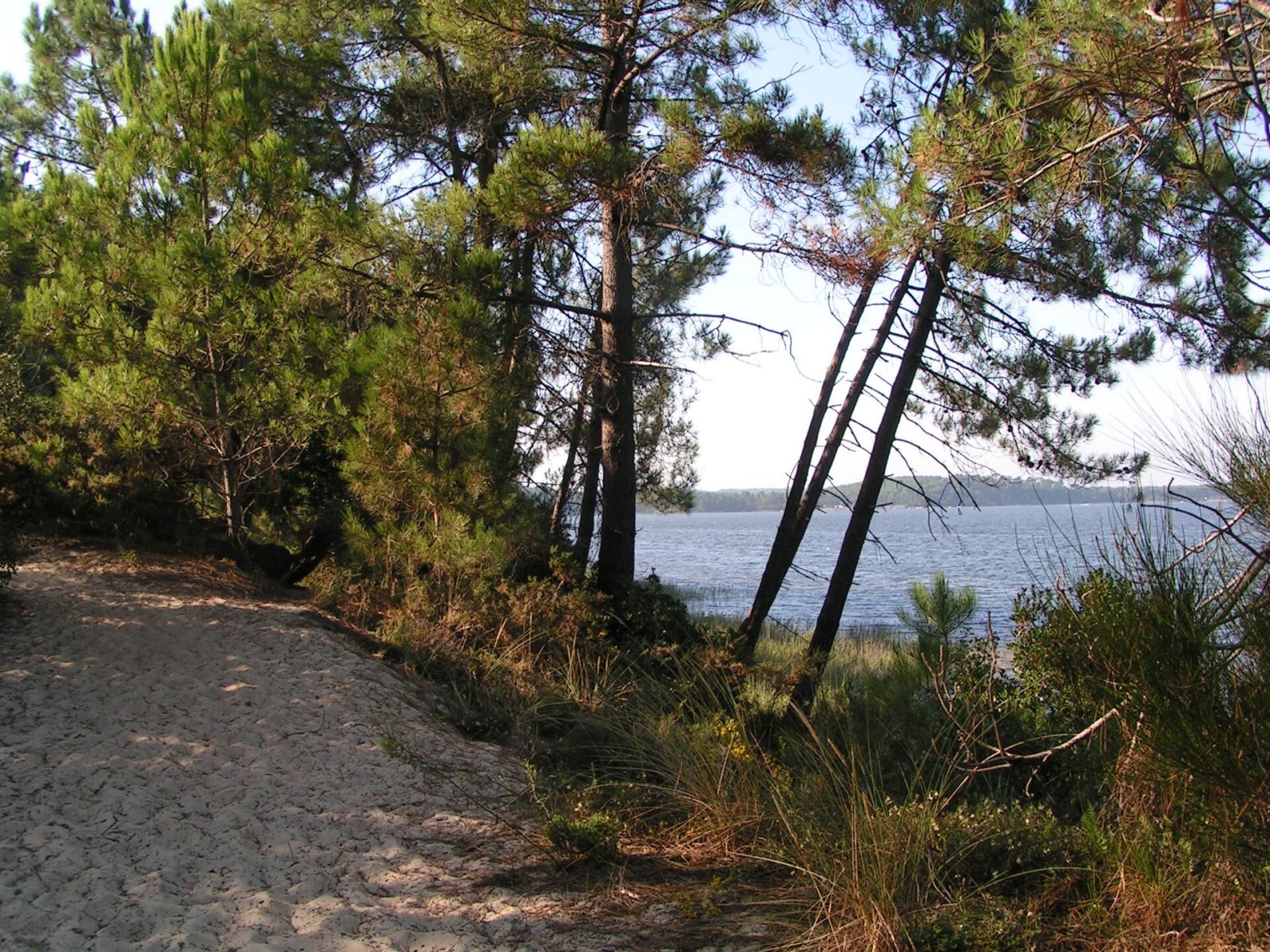 Scopri Lac de Lacanau: Un angolo di natura in Francia - Marquay | Secret World Trip Planner