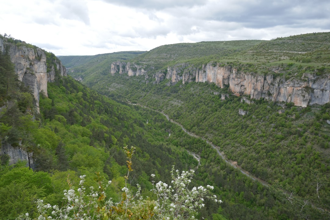 Gorges du Tarn : Un Paradis Naturel en Occitanie — Millau