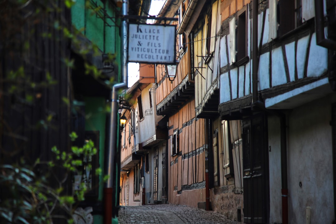 Riquewihr: A Medieval Gem in Alsace - Riquewihr | Secret World Trip Planner