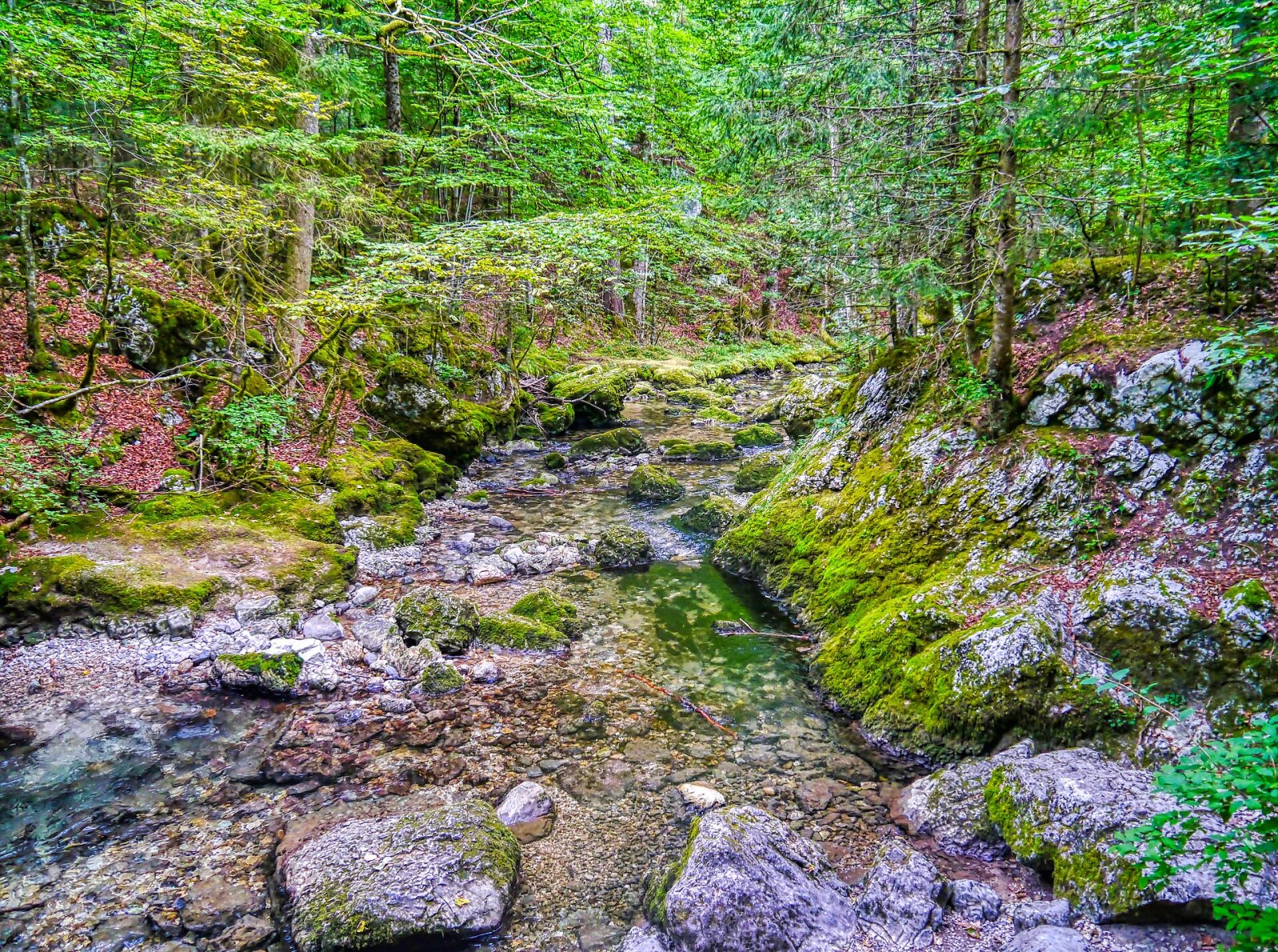 Découvrez le Cirque de Saint-Même : un bijou naturel en France - Plateau-des-Petites-Roches | Secret World Trip Planner