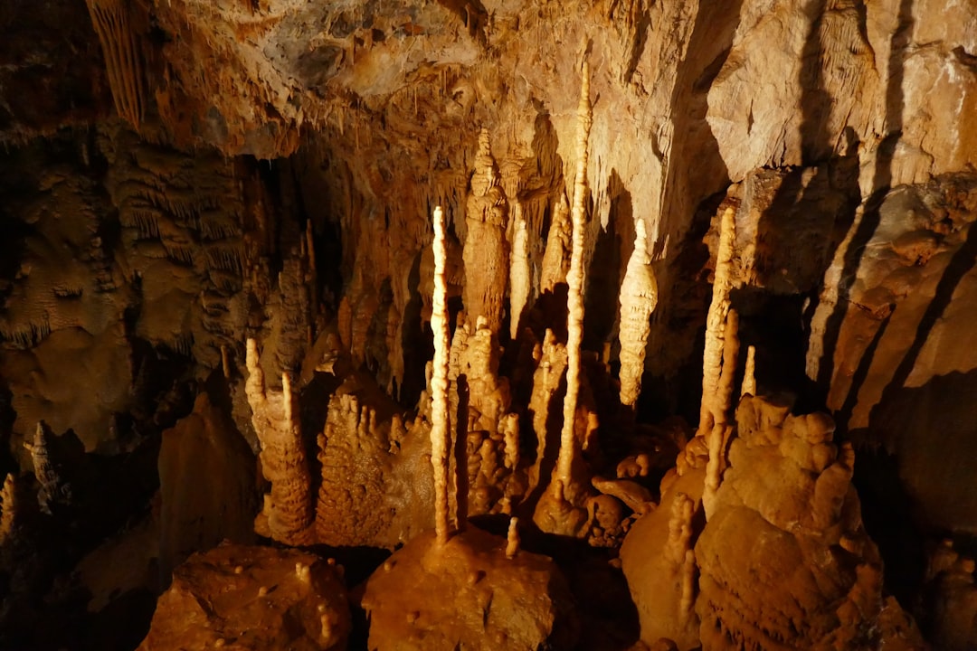 Découvrez les Grottes de Villars : un trésor de la Nouvelle-Aquitaine - Champagnac-de-Belair | Secret World Trip Planner