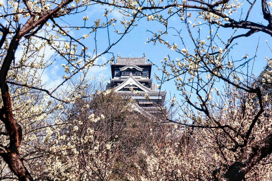Exploration du Château de Kumamoto : Histoire et Beautés - Kumamoto | Secret World Trip Planner