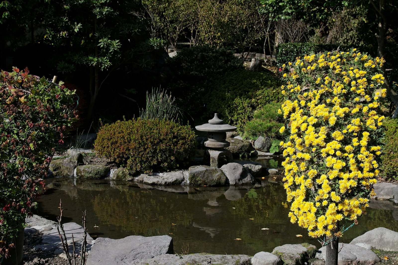 Scopri il Giardino Sengan-en a Kagoshima: un angolo di paradiso - Kagoshima | Secret World Trip Planner