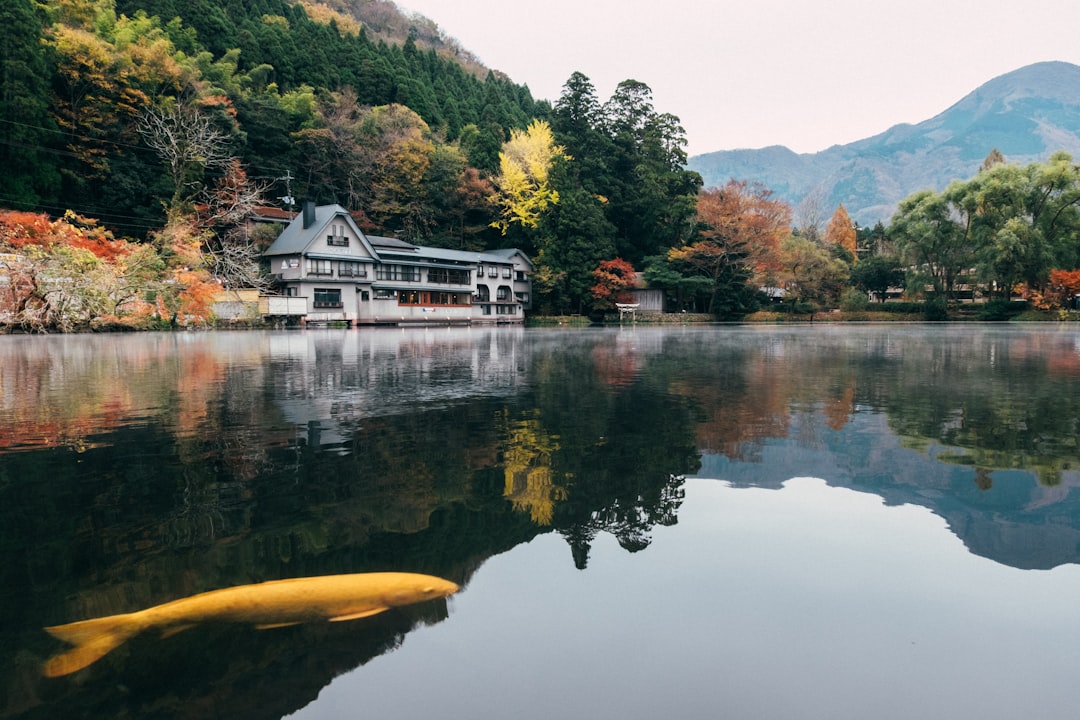 Scopri Yufuin: la perla delle sorgenti termali di Kyushu - Yufu | Secret World Trip Planner