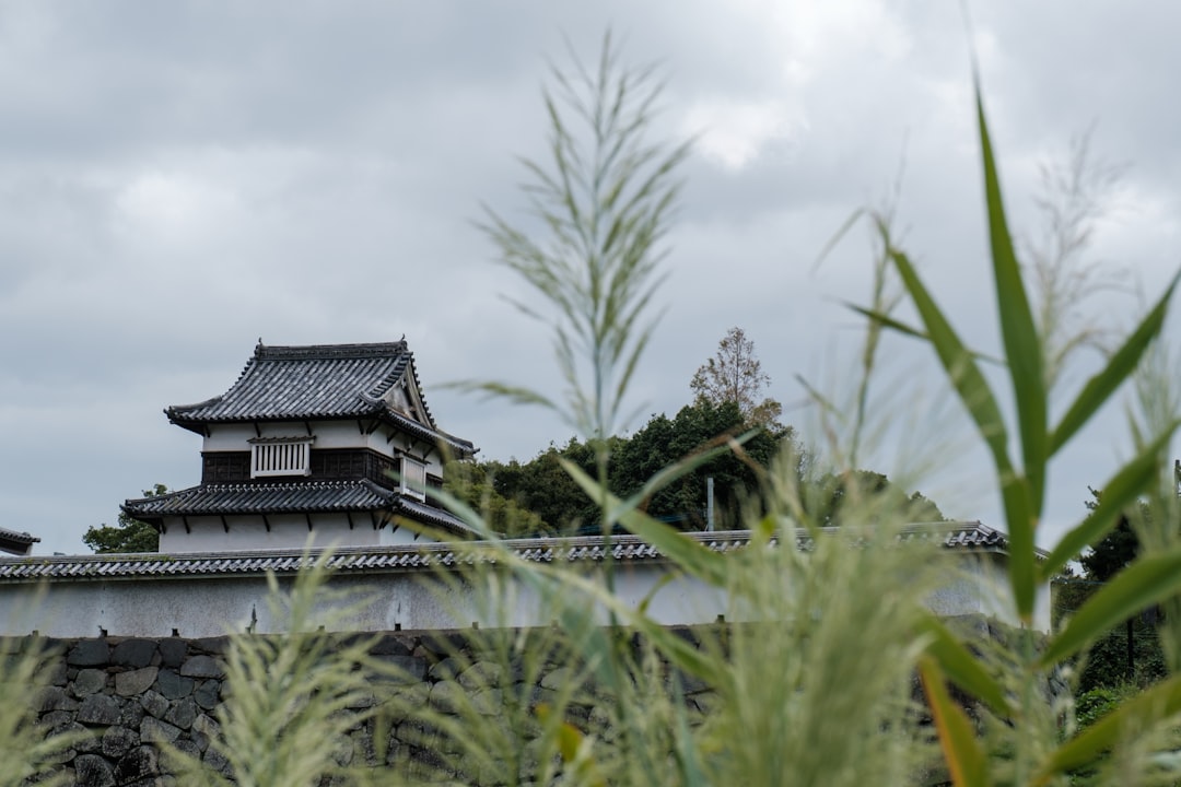 Exploring Fukuoka Castle: History and Beauty of Kyushu - Fukuoka | Secret World Trip Planner