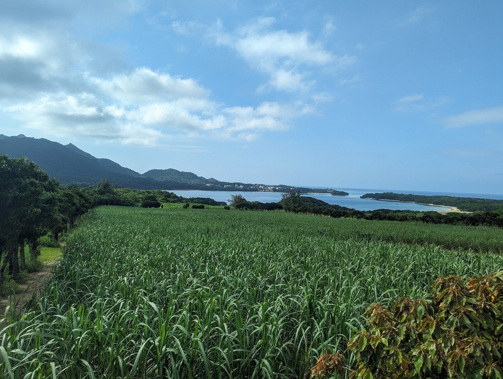 Ishigaki Island: a natural gem of the Japanese Okinawa - Ishigaki | Secret World Trip Planner