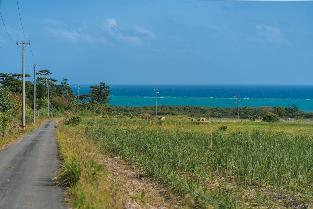 Scopri Iriomote Island: un angolo di paradiso a Okinawa - Taketomi | Secret World Trip Planner