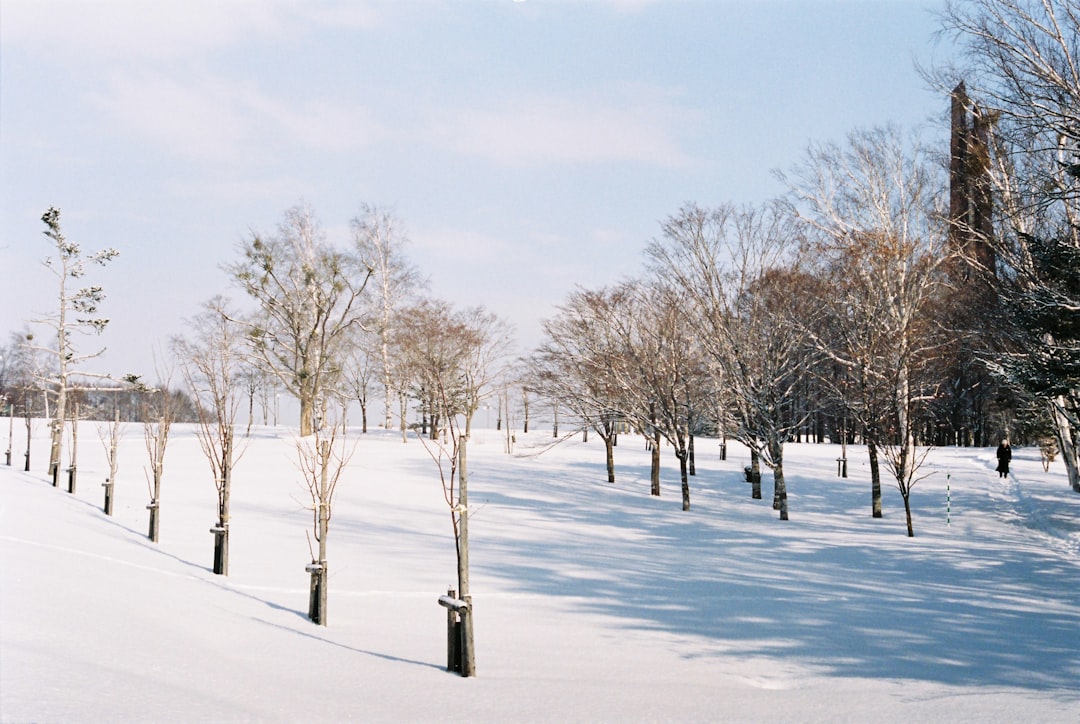 Odori Park Sapporo: un angolo di natura nel cuore di Hokkaido - Sapporo | Secret World Trip Planner