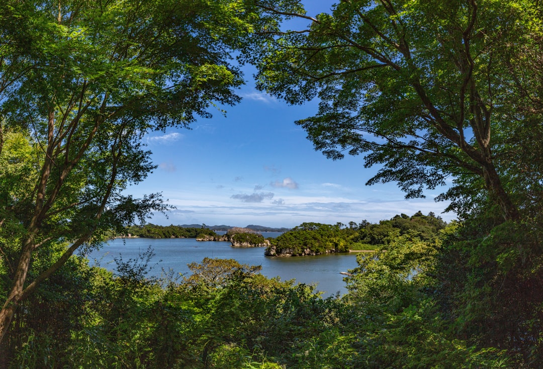 Matsushima Bay: Un Paradiso Naturale nel Cuore del Giappone - Matsushima | Secret World Trip Planner