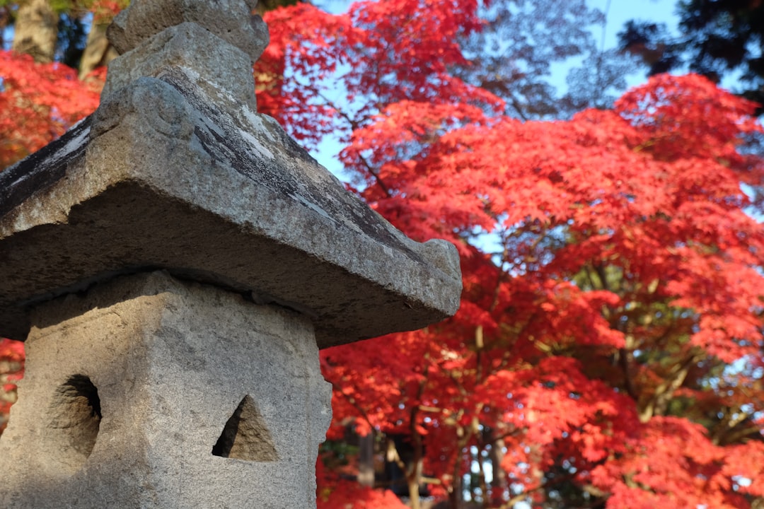 Découvrir Hiraizumi Chusonji : un trésor historique dans le Tohoku - Hiraizumi | Secret World Trip Planner