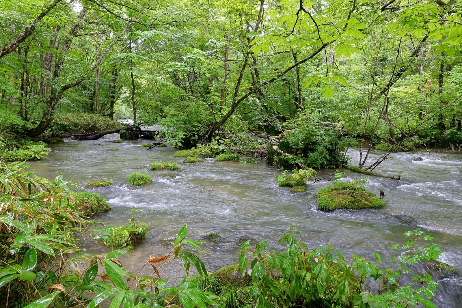 奥入濑溪流：日本的自然天堂 - Towada | Secret World Trip Planner