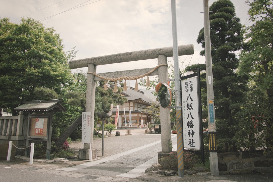 Découvrez Shirakami Sanchi : un paradis naturel au Japon - Nishimeya | Secret World Trip Planner